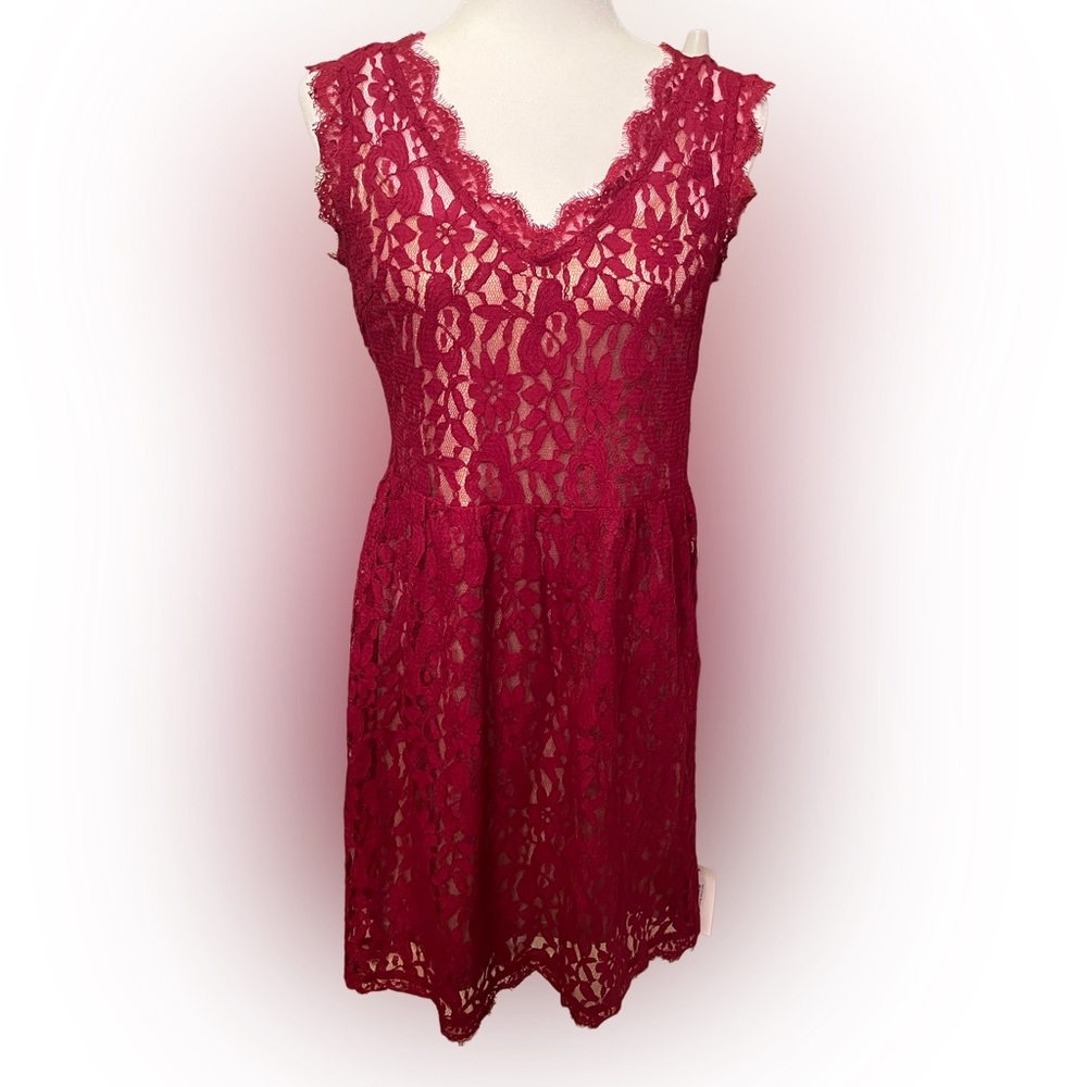 Soieblu brand dress. NWT. Size L.